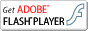 adobe FLASHPLAYER